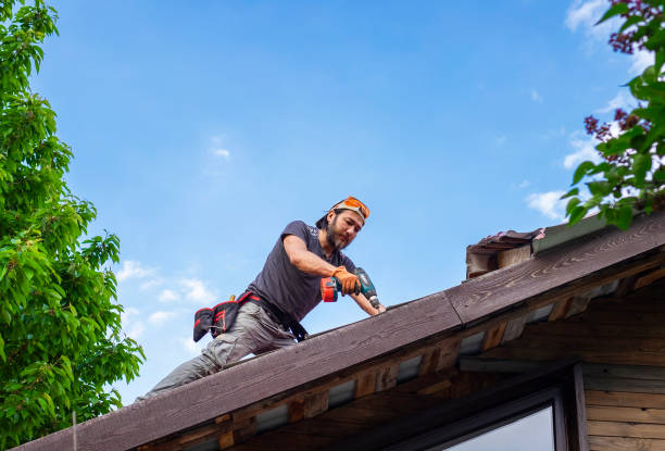 Best Roof Maintenance and Cleaning  in Mechanicville, NY