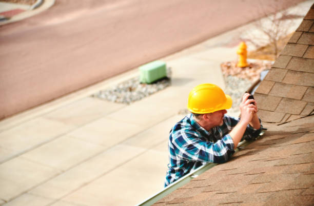 Best Roof Moss and Algae Removal  in Mechanicville, NY